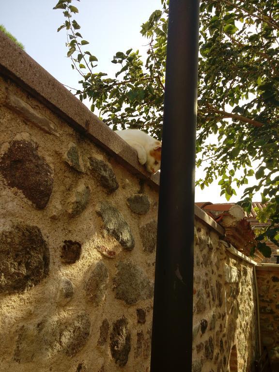 ברגאמה Aristonicus Boutique Hotel מראה חיצוני תמונה